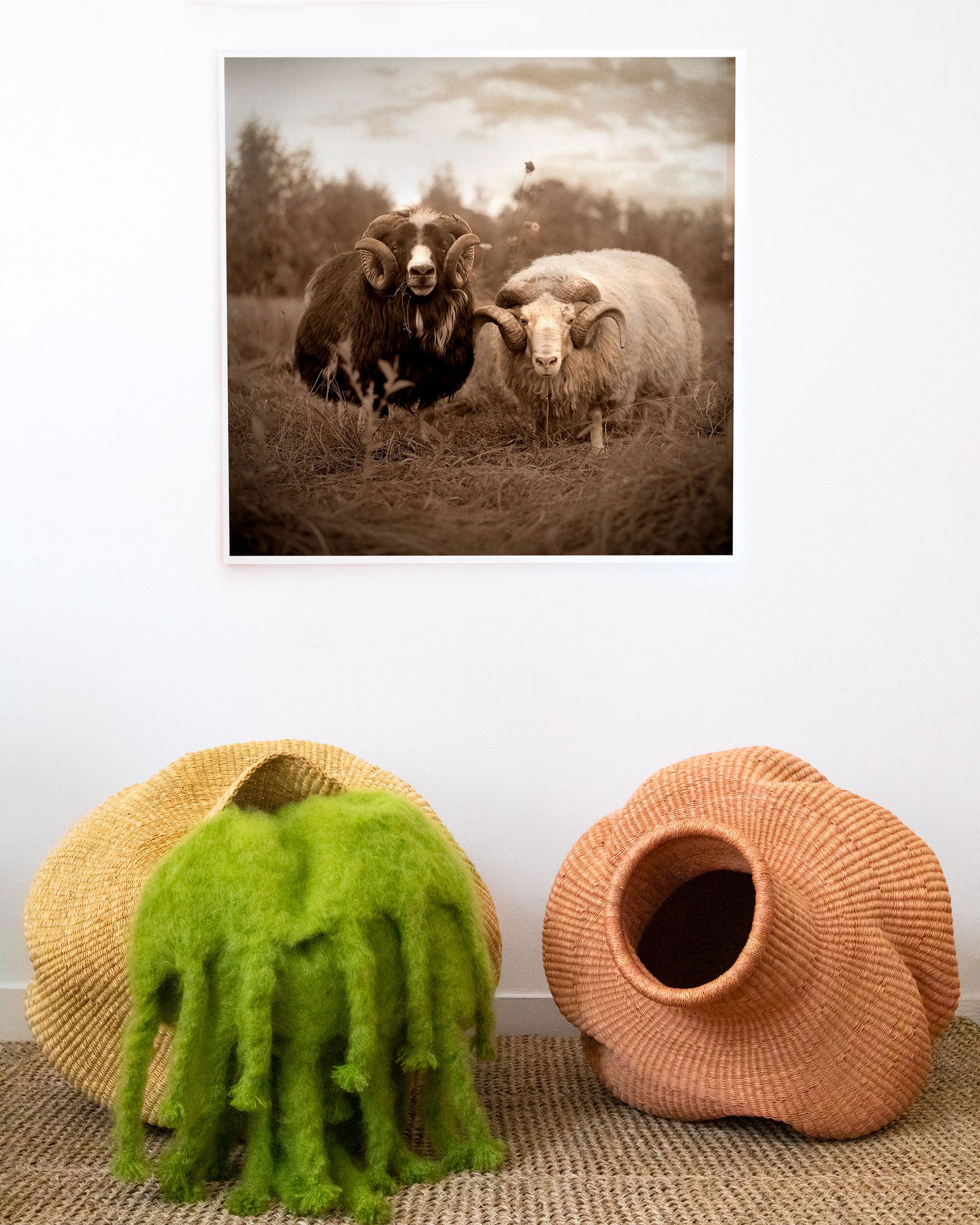 Two Rams by Valerie Shaff