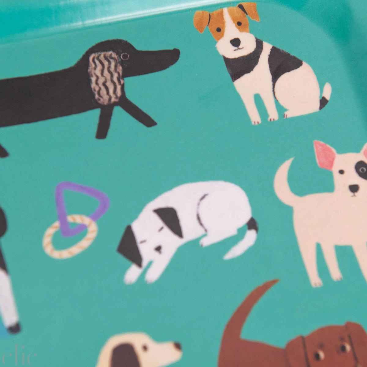Small Dogs Square Tray in Jade, from Avenida Home