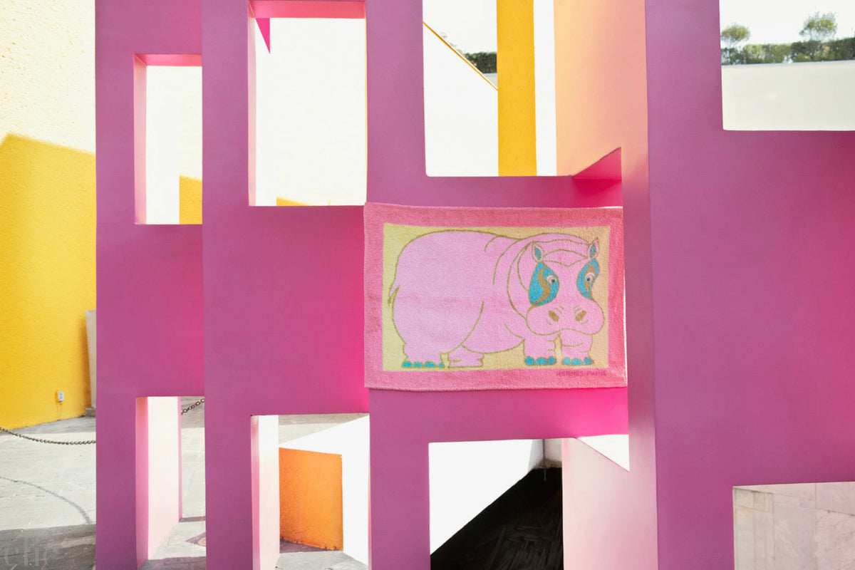 The Pink Wall, Miguel Hidalgo, CDMX ,Mexico, 2023 by Tierney Gearon