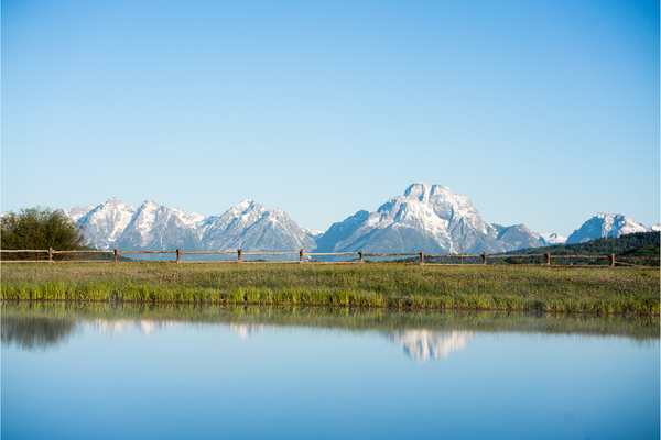 Blue Sky over The Grand Tetons by Nick Turner