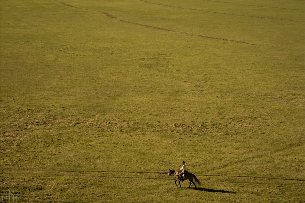Pinto Ranch by Nick Turner