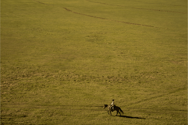 Pinto Ranch by Nick Turner