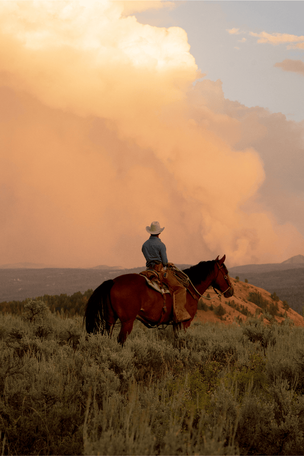 Riding The Ridge 2 by Nick Turner