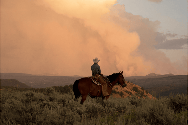 Riding The Ridge by Nick Turner