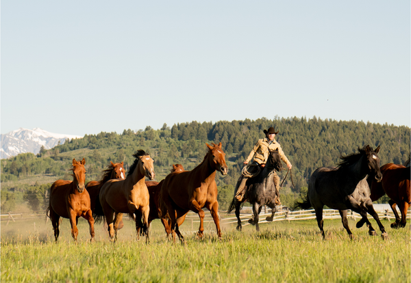 Running The Mares by Nick Turner