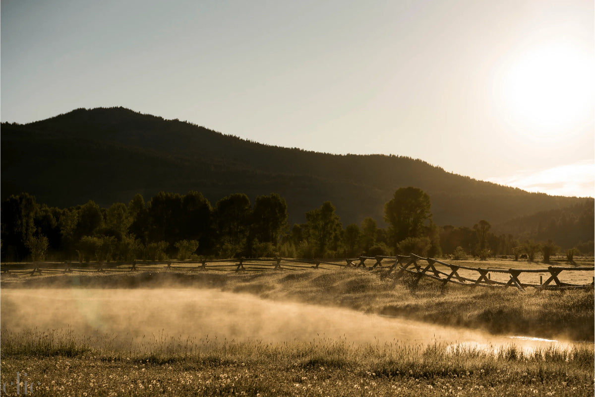 Wyoming Mornings by Nick Turner