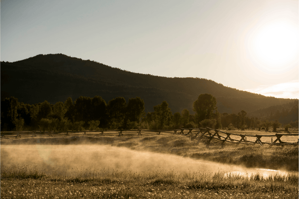 Wyoming Mornings by Nick Turner