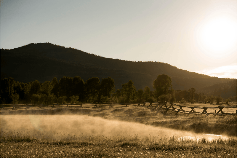 Wyoming Mornings by Nick Turner