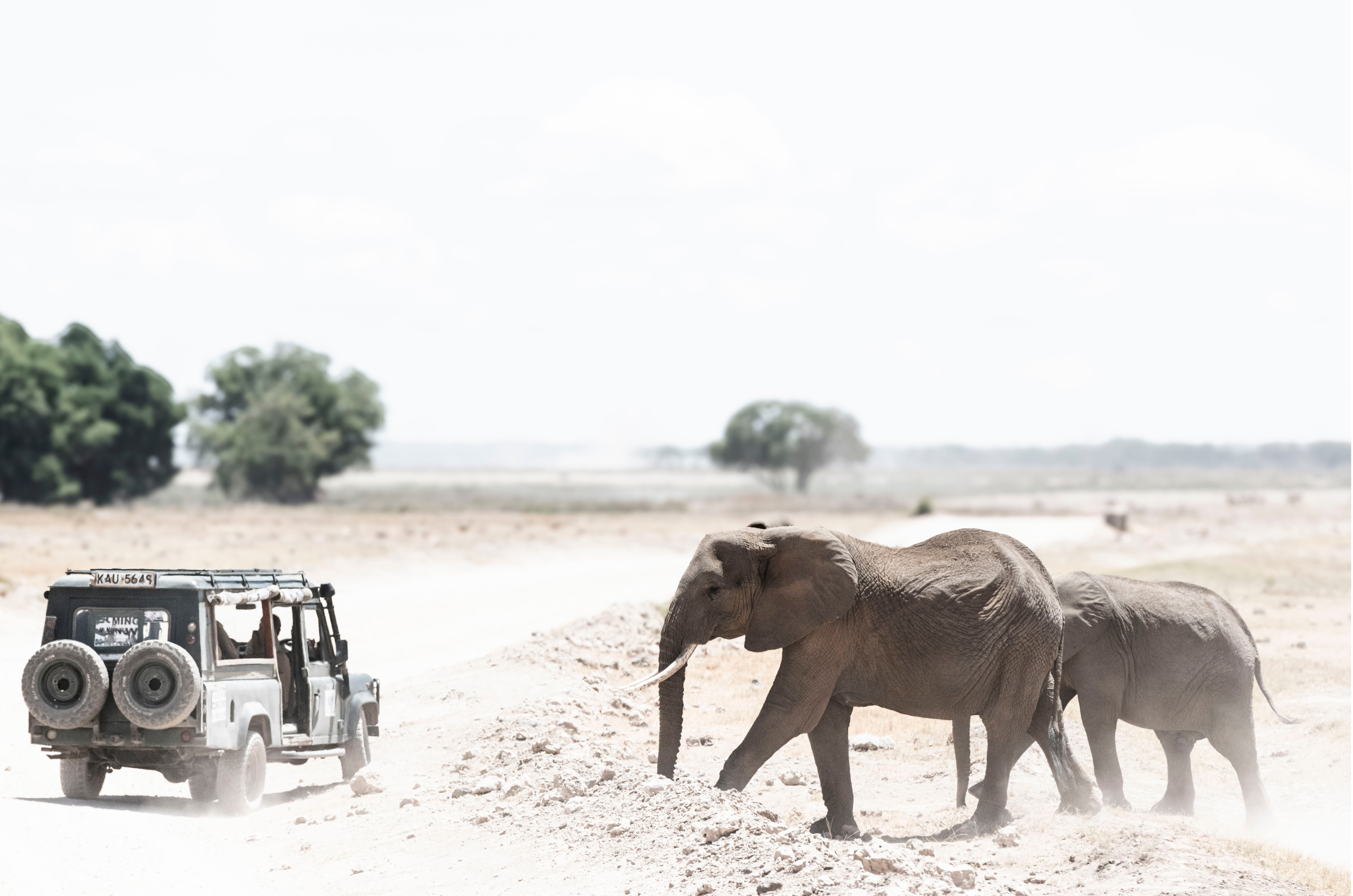 Off Road by Juliette Charvet