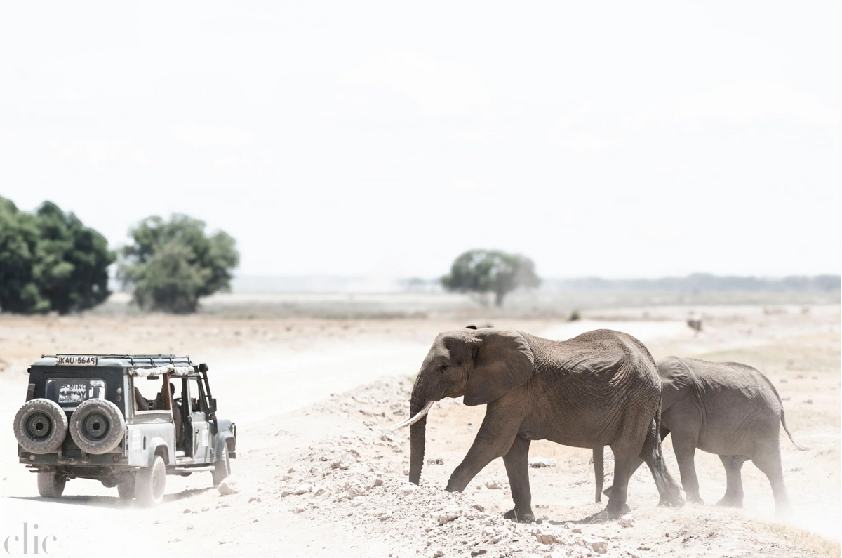Off Road by Juliette Charvet