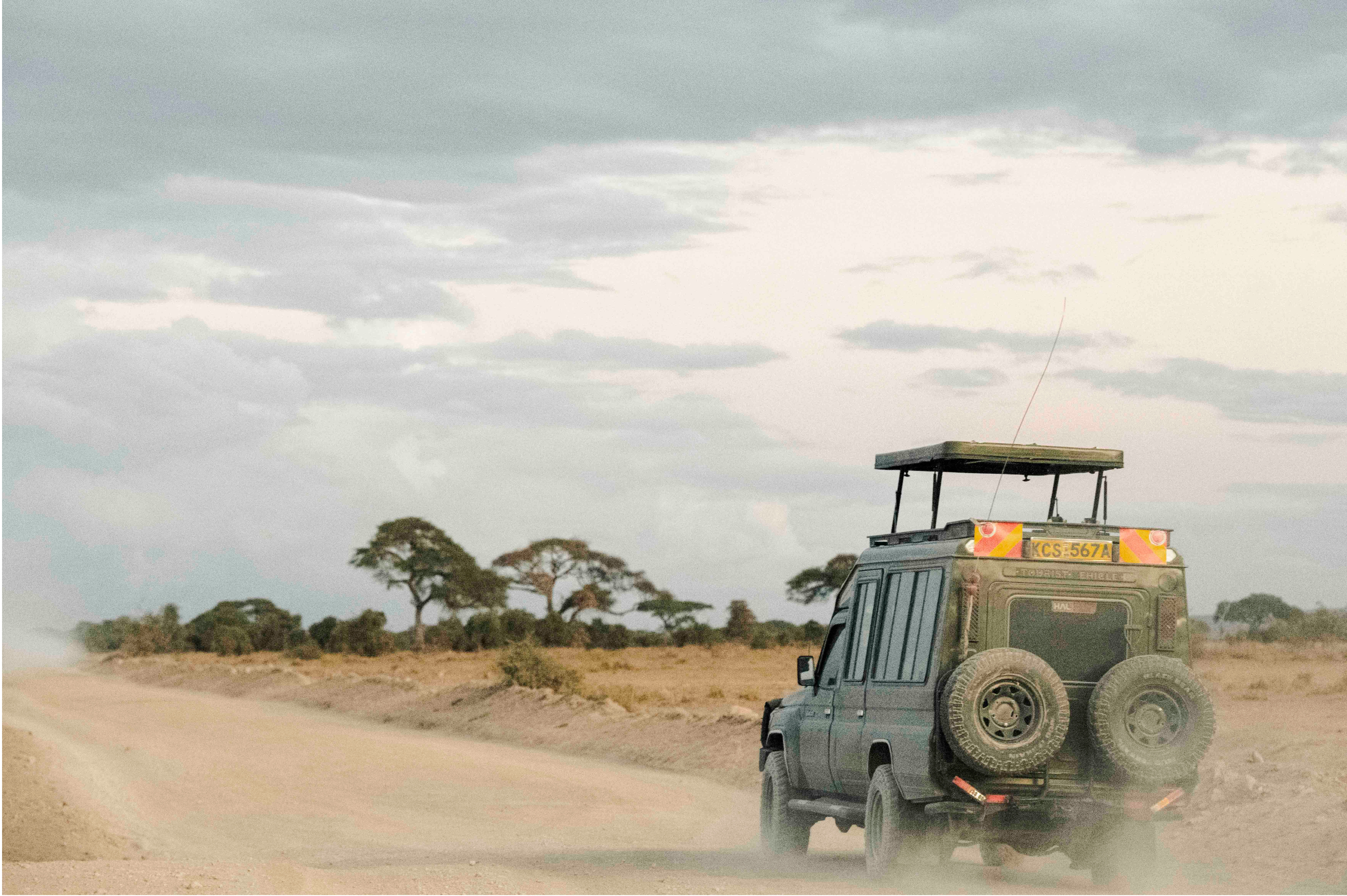 Landy by Juliette Charvet