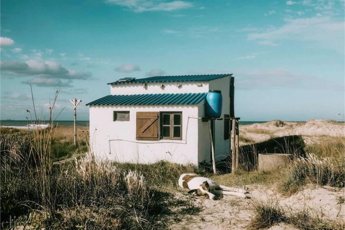 Shelter of Simplicity, Uruguay by Miltiade Meireis