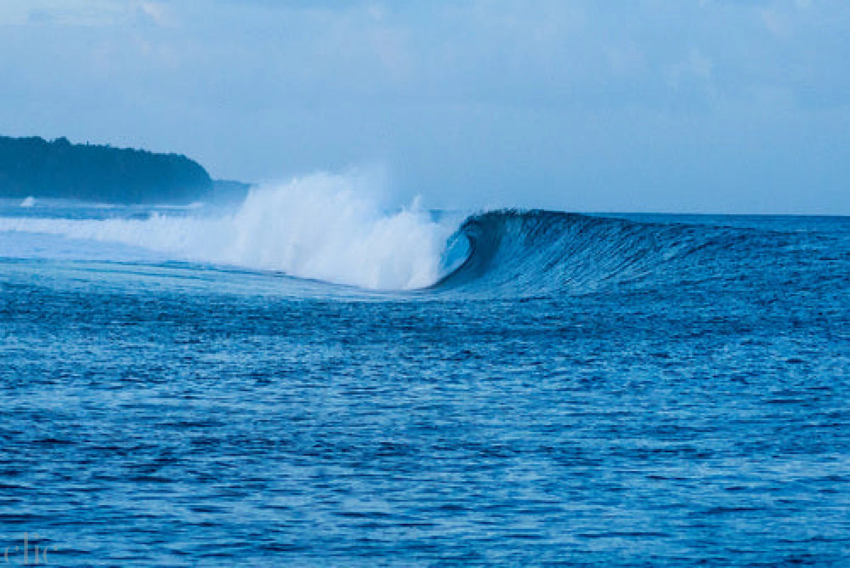 Wave 1, Fiji by Nick Turner