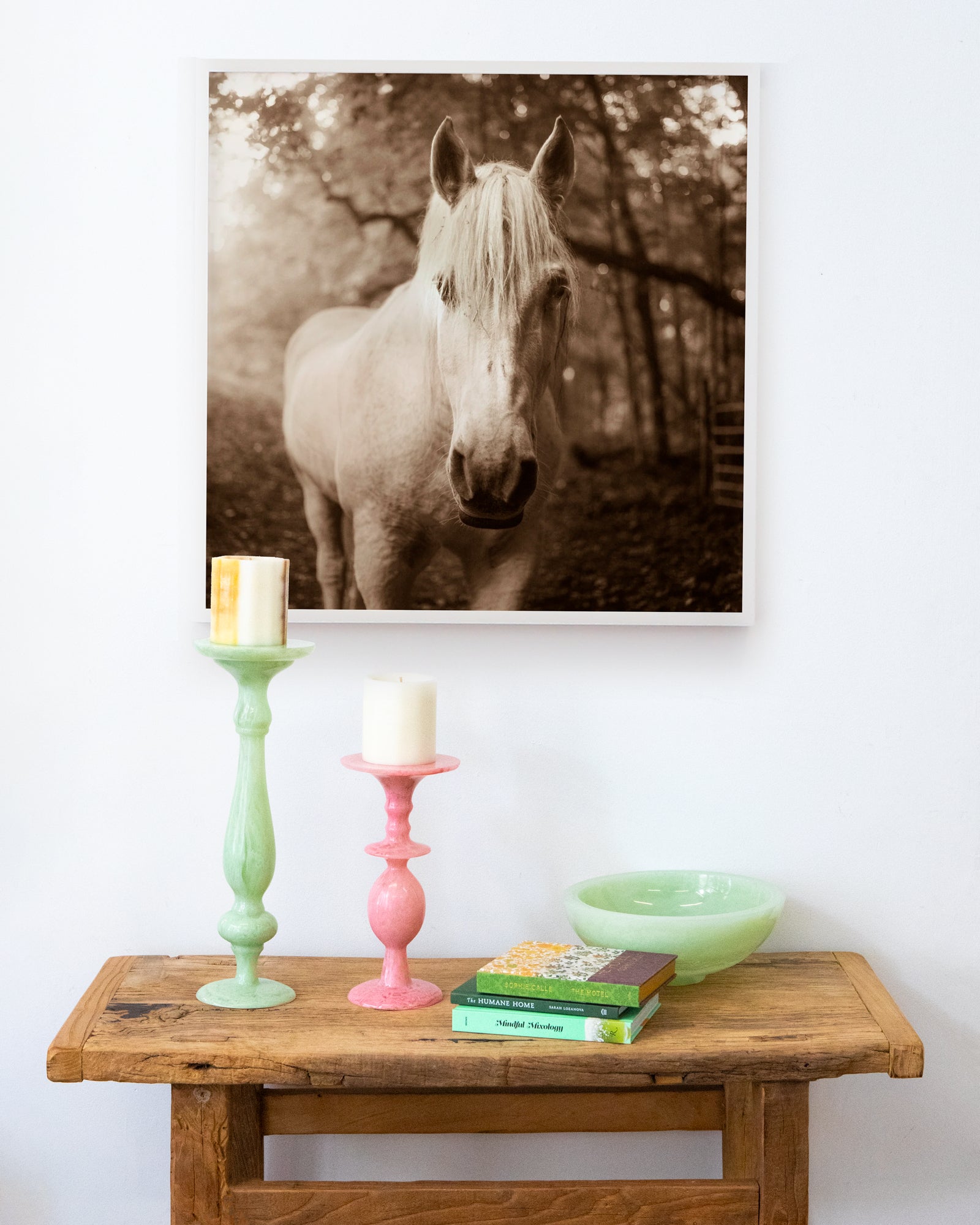 White Horse by Valerie Shaff