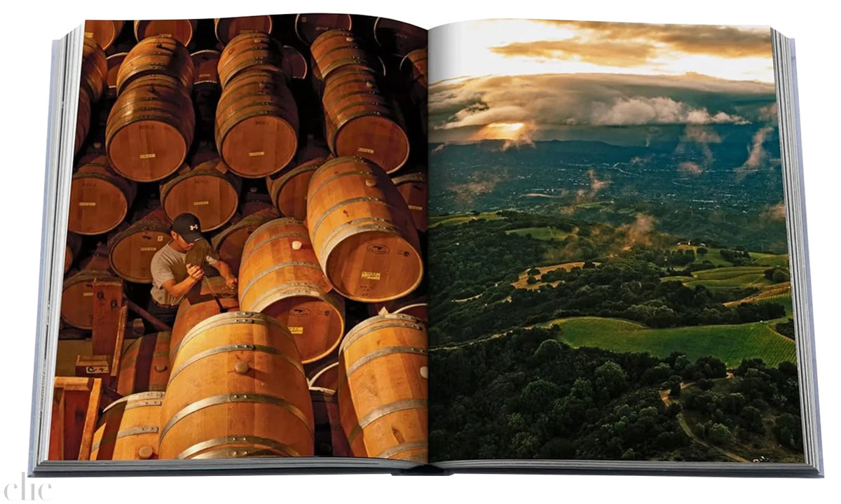 Wine & Travel United States of America: Exploring the best regional vineyards