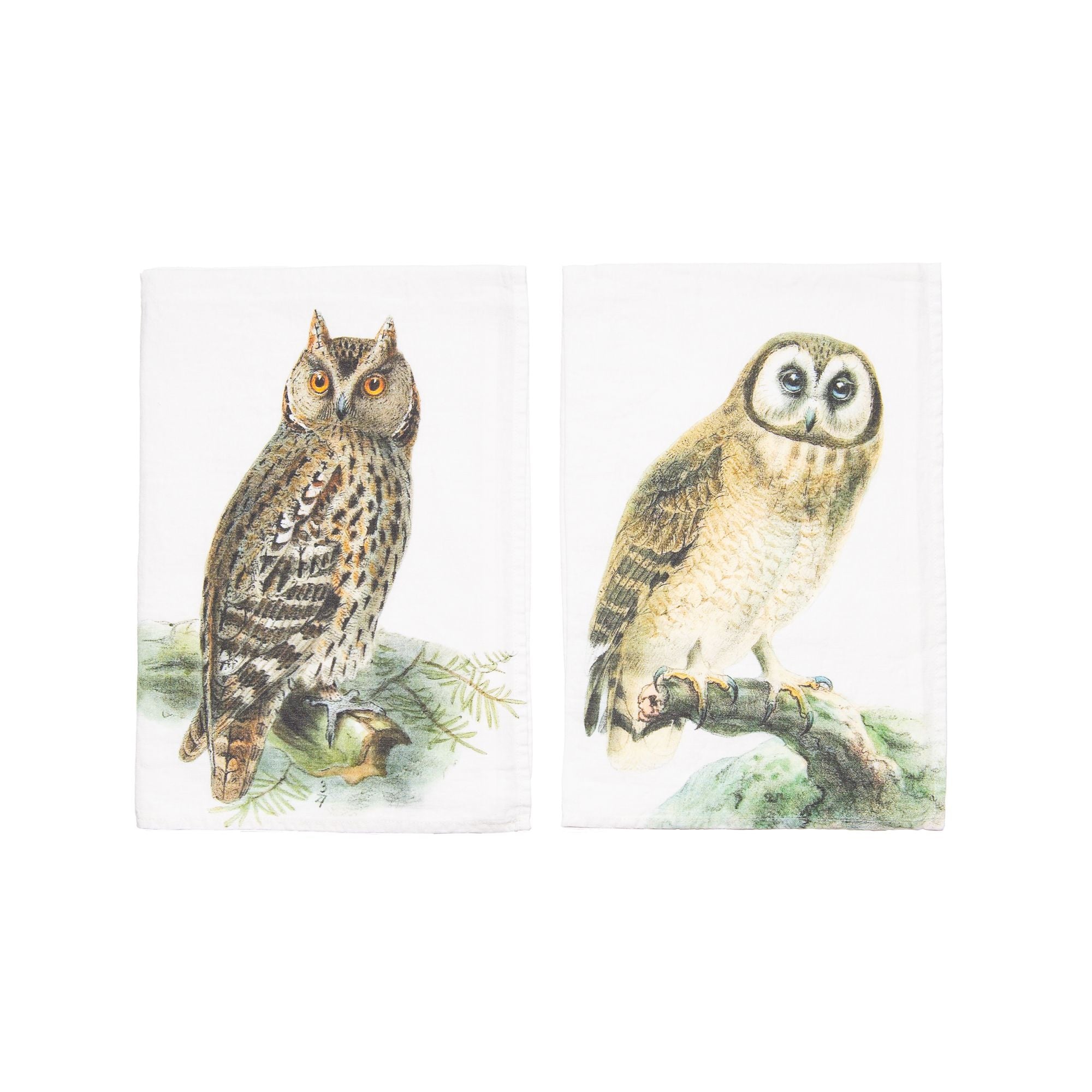 Owl and Eagle Kitchen Towel in Natural, from Linoroom