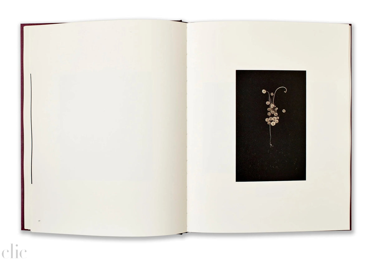 Masao Yamamoto: Small Things in Silence: Third Edition