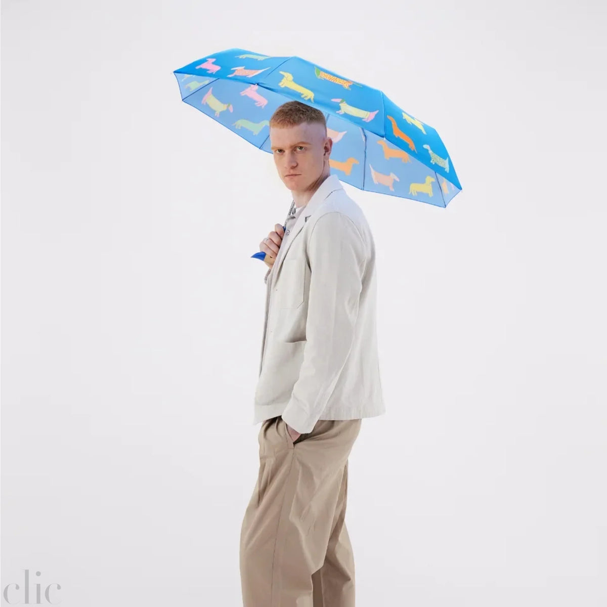 Dachshund Dogs Compact Umbrella in Blue, from Original Duckhead