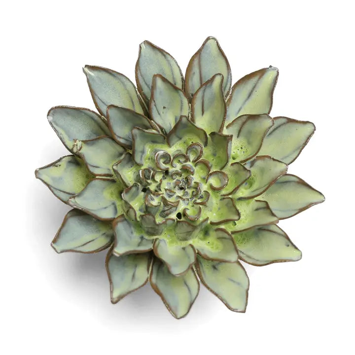 Calico Aster Flower in Pear Green, from Chive