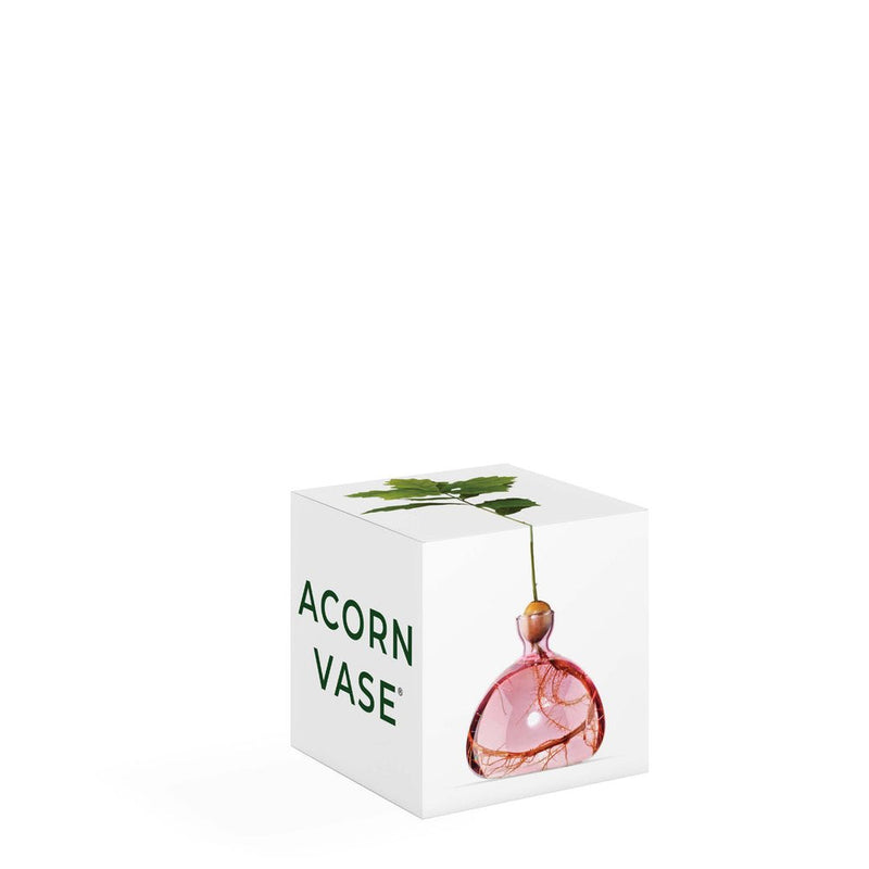 Acorn Vase, from ILEX Studio