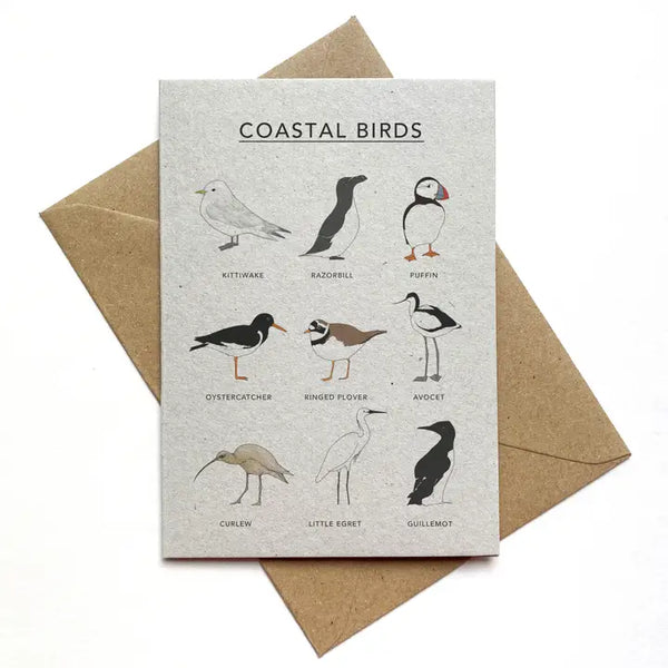 Coastal Birds Illustrated Card