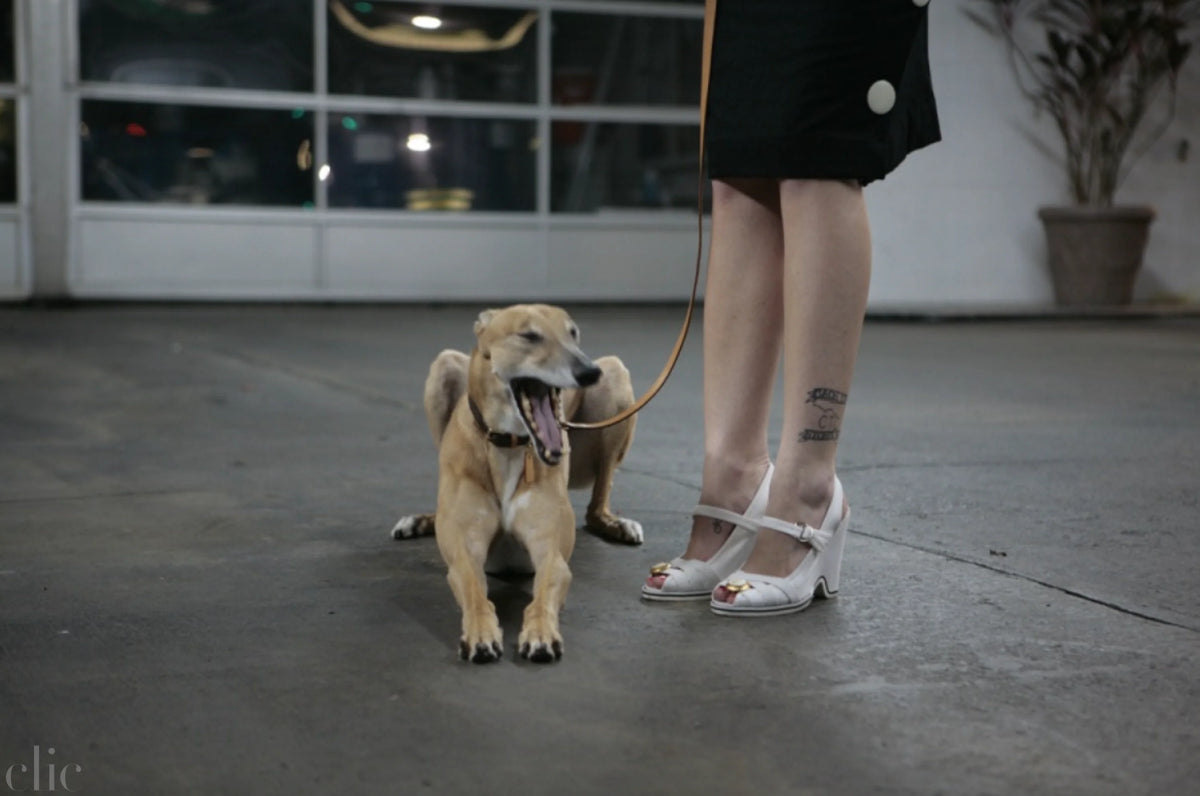 Allie and Ginger by Charity de Meer