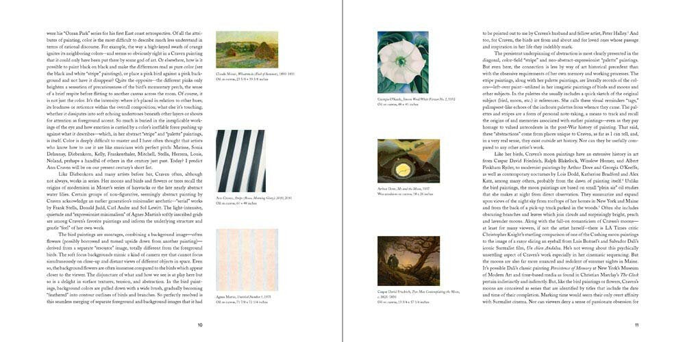 Ann Craven: Birds We Know