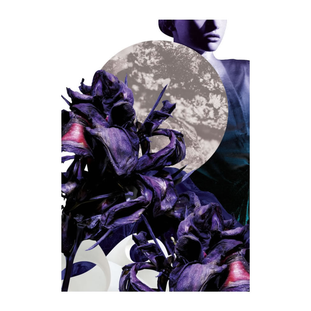 Ashen Orris, from Society of Scent