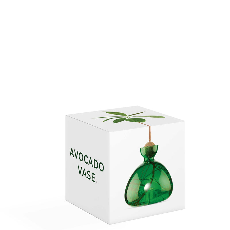 Avocado Vase, from ILEX Studio
