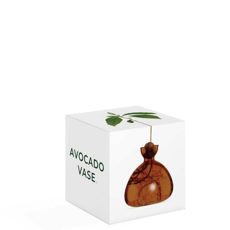 Avocado Vase, from ILEX Studio
