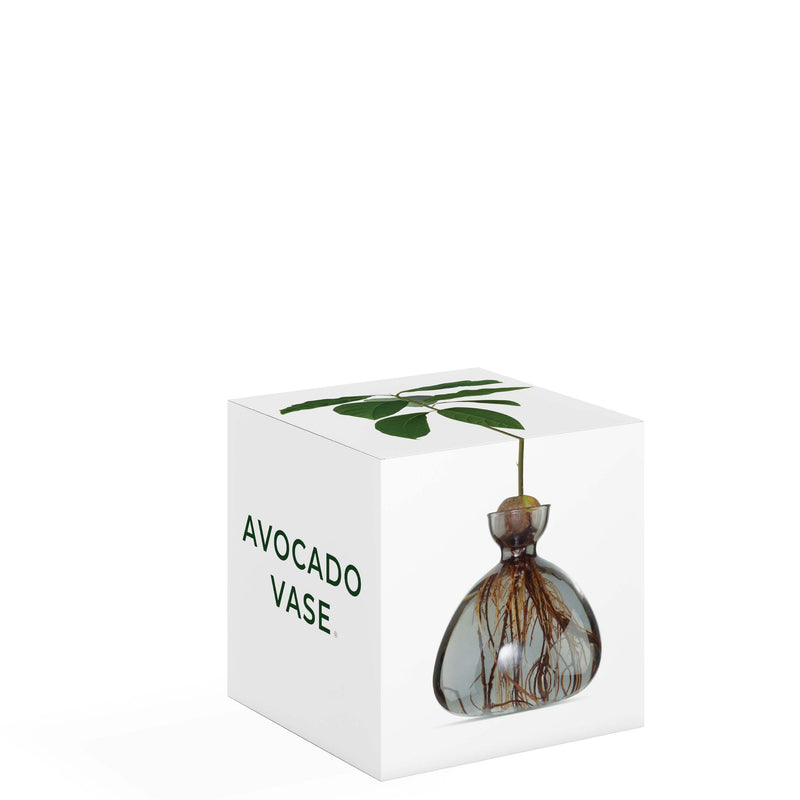 Avocado Vase, from ILEX Studio