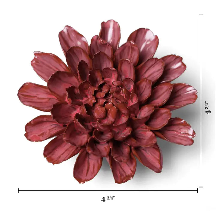 Pink Star Dahlia in Blush Pink, from Chive
