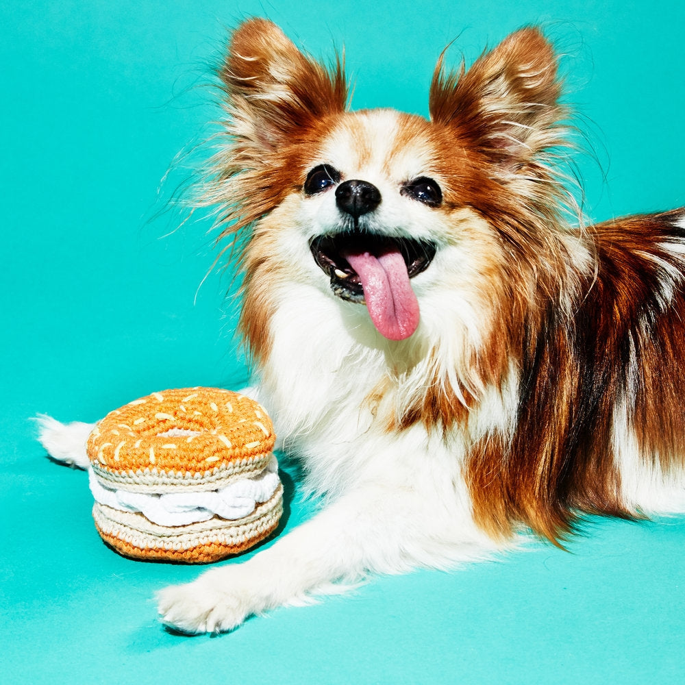 Hand Crochet Bagel & Cream Cheese, from Ware of the Dog