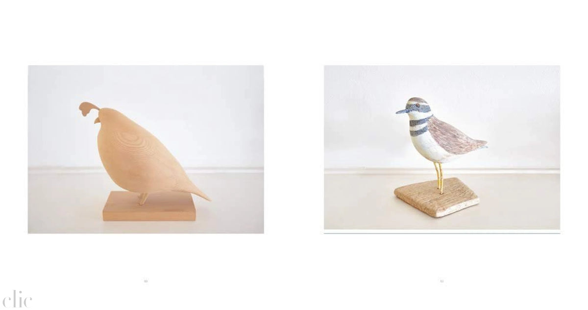 Joshua Chuang & Robert Adams: Boats, Books, Birds