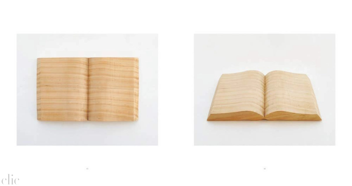 Joshua Chuang & Robert Adams: Boats, Books, Birds