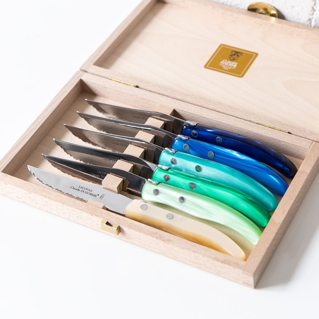 Berlingot Box of 6 Steak Knives in Blue and Green, from Claude Dozorme
