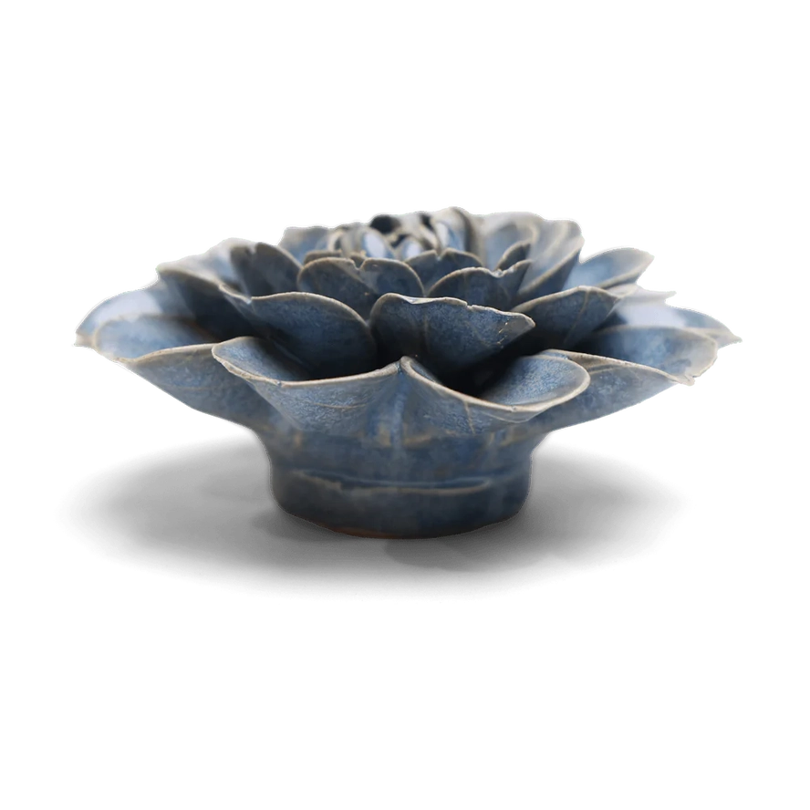 Fiesta Marigold in Blue, from Chive