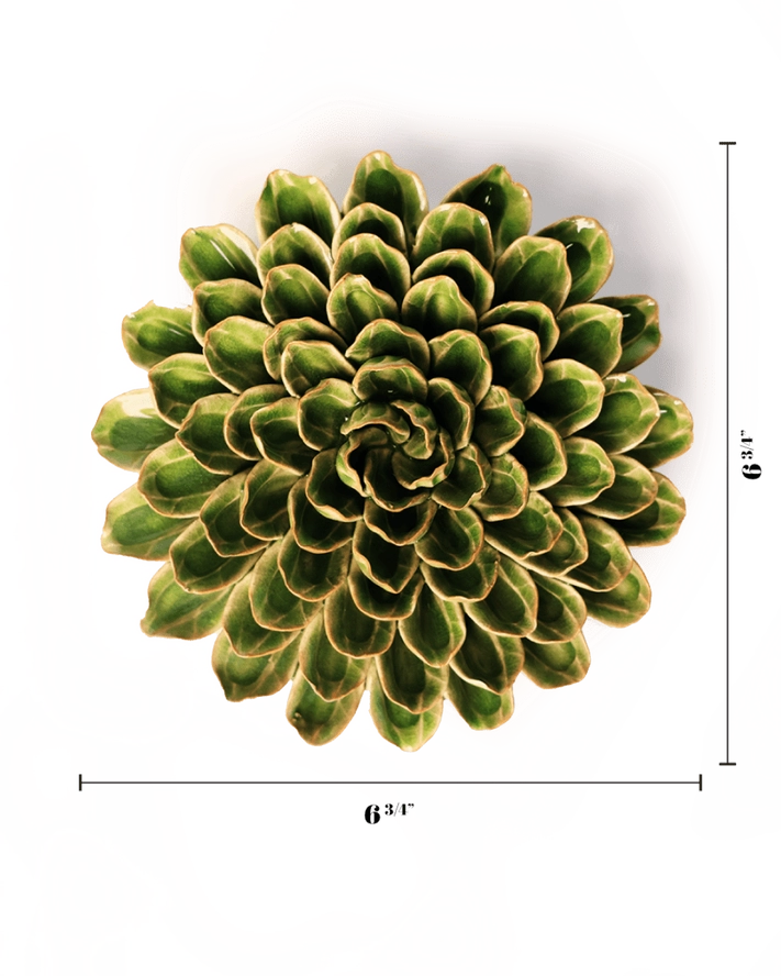 Unicorn Zinna in Avocado Green, from Chive