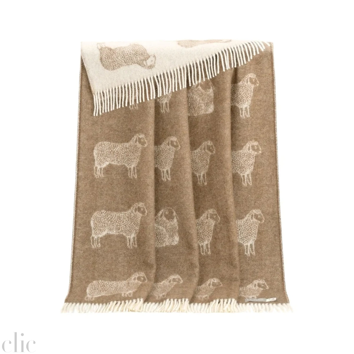Sheep Wool Throw in Brown