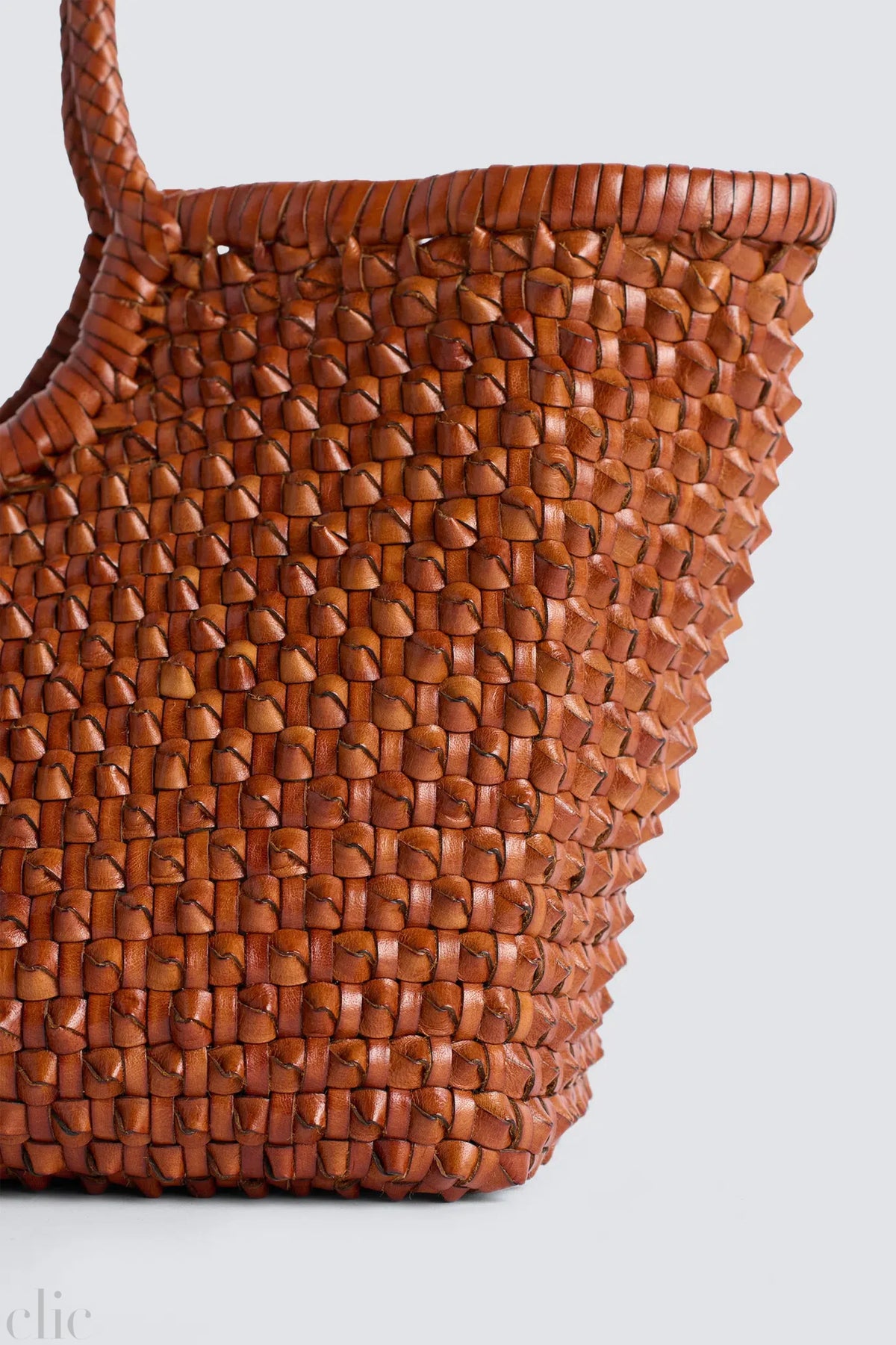 Nantucket Cactus Bag in Tan, from Dragon Diffusion