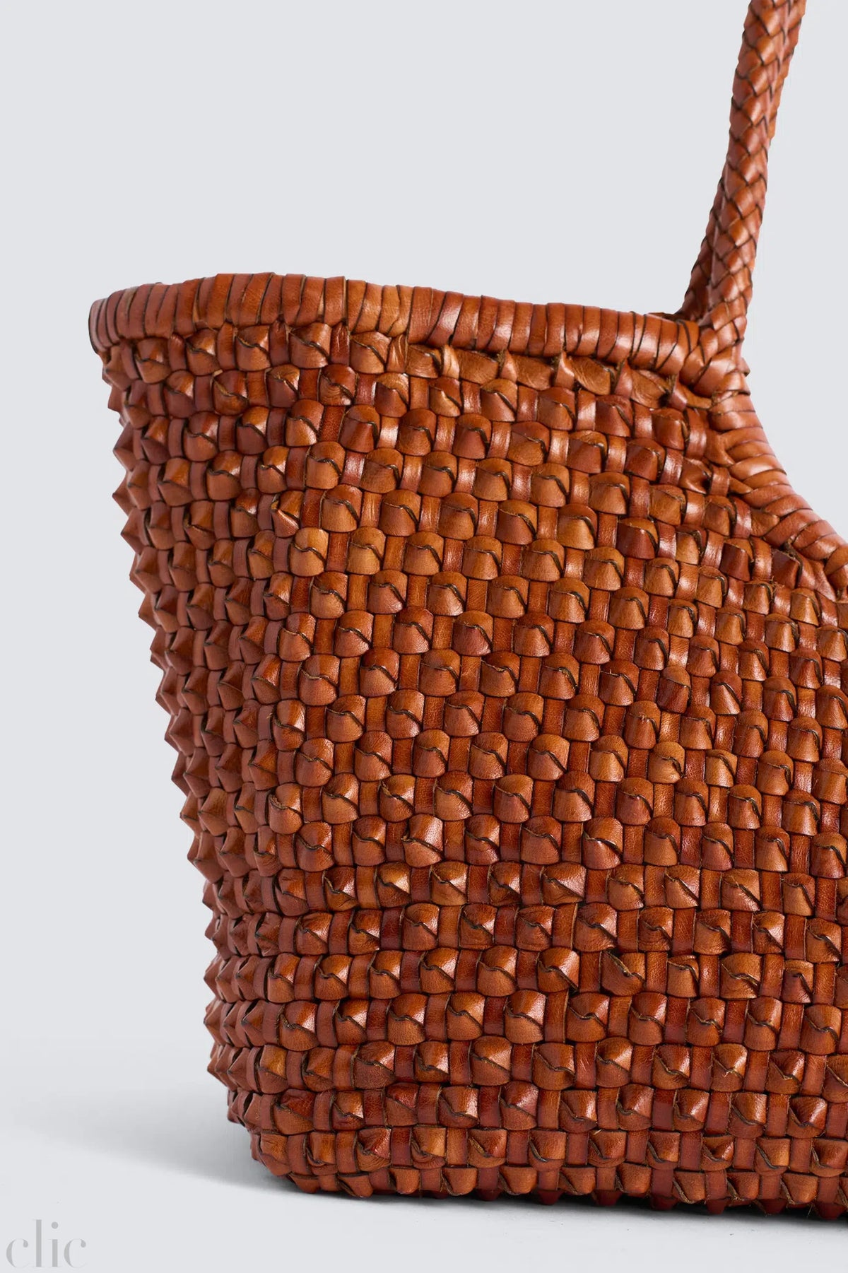 Nantucket Cactus Bag in Tan, from Dragon Diffusion