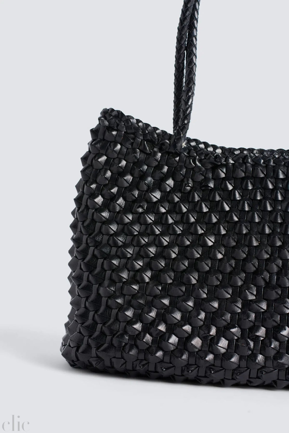 Santa Croce Cactus Bag in Black, from Dragon diffusion