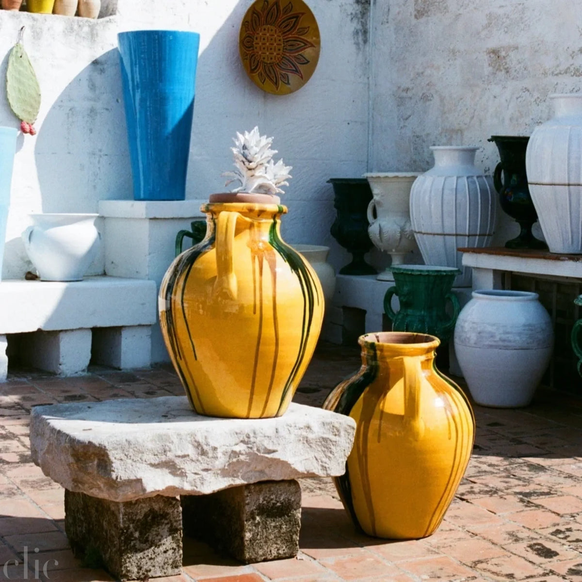 A Week Abroad Puglia
