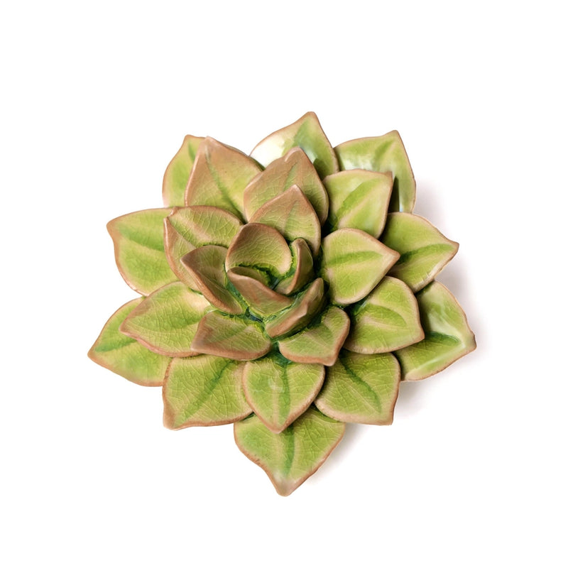 Ceramic Flower Wall Art Green Succulent, from Chive