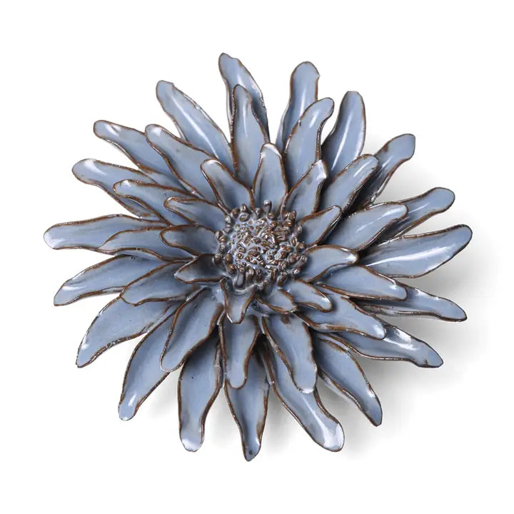 Gerbera Daisy in Blue Grey, from Chive