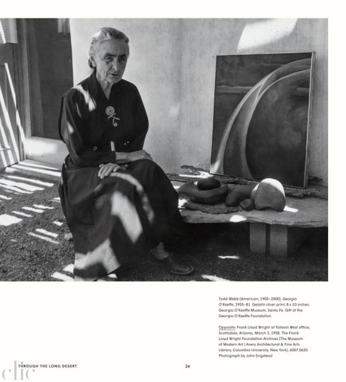 Through the Long Desert: Georgia O'Keeffe and Frank Lloyd Wright