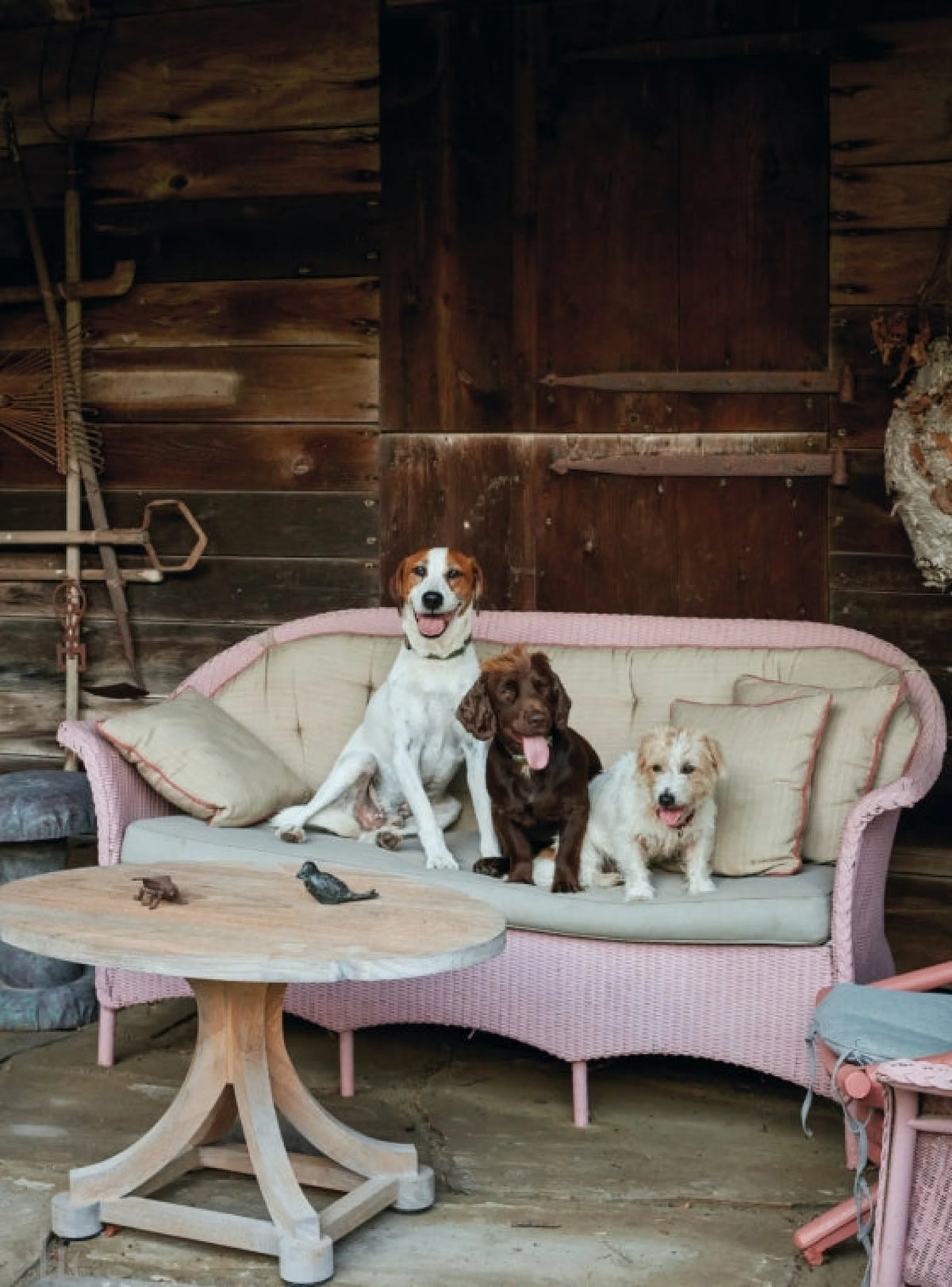 Bird Haven Farm: The Story of an Original American Garden