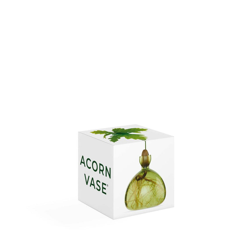 Acorn Vase, from ILEX Studio