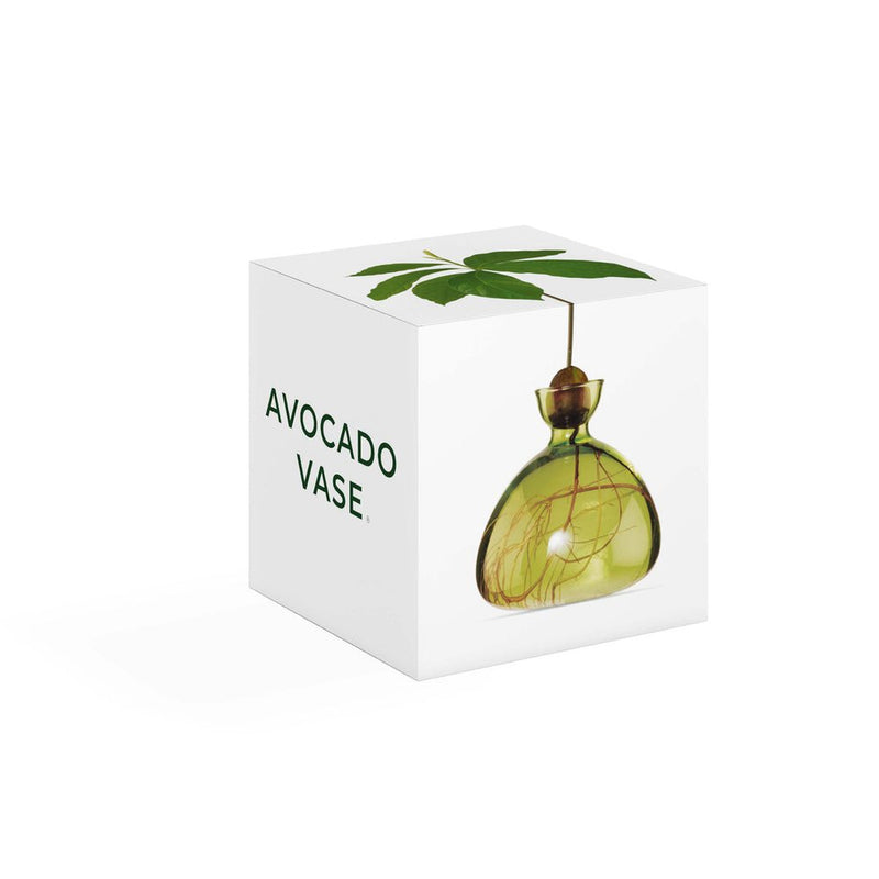 Avocado Vase, from ILEX Studio
