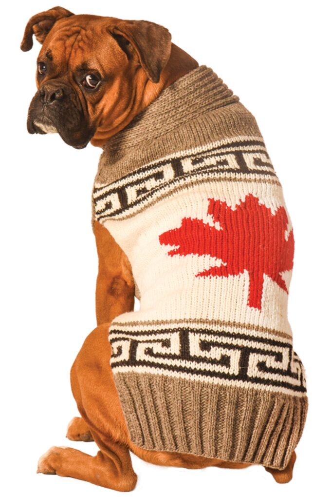 Maple Leaf Dog Sweater, from Chilly Dog